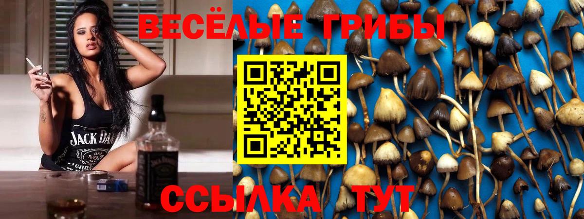 Кизилюрт  цены наркотик  Вход с VPN  Псилоцибиновые грибы Psilocybine cubensis 
